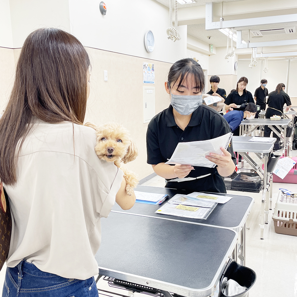 トリミングのお客様の接客実習♪